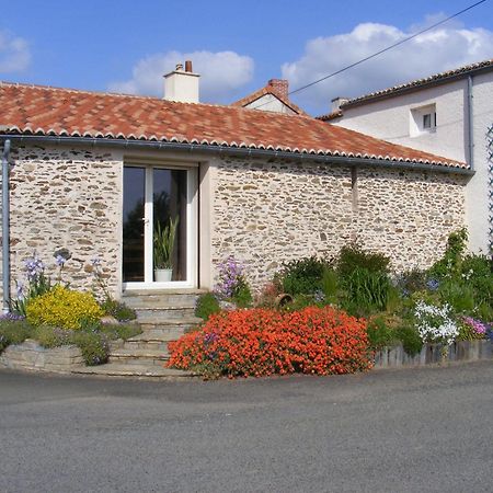 Chambres D'Hotes Vignes Et Loire Drain Exteriör bild