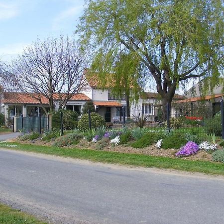 Chambres D'Hotes Vignes Et Loire Drain Exteriör bild