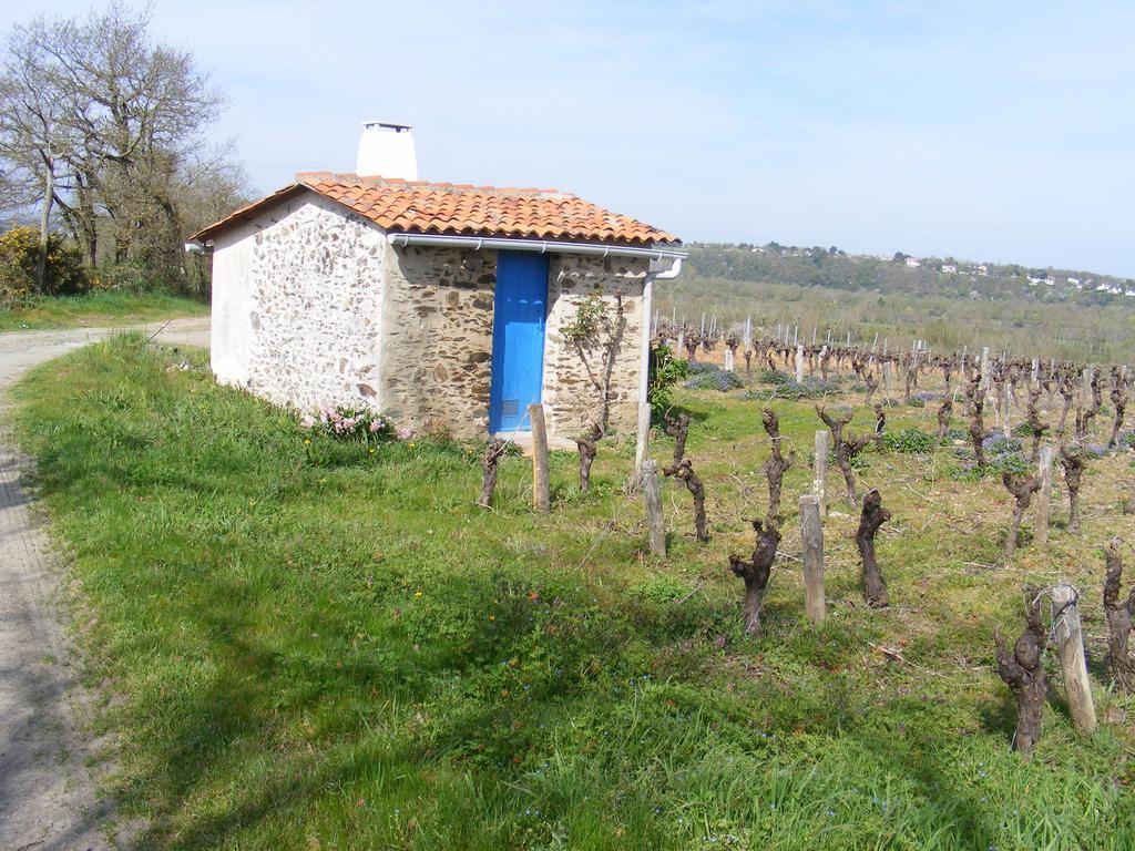 Chambres D'Hotes Vignes Et Loire Drain Rum bild