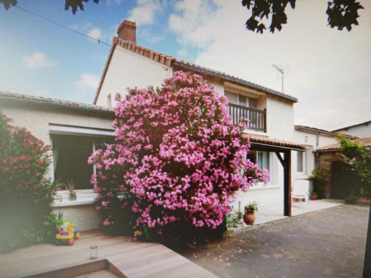 Chambres D'Hotes Vignes Et Loire Drain Exteriör bild