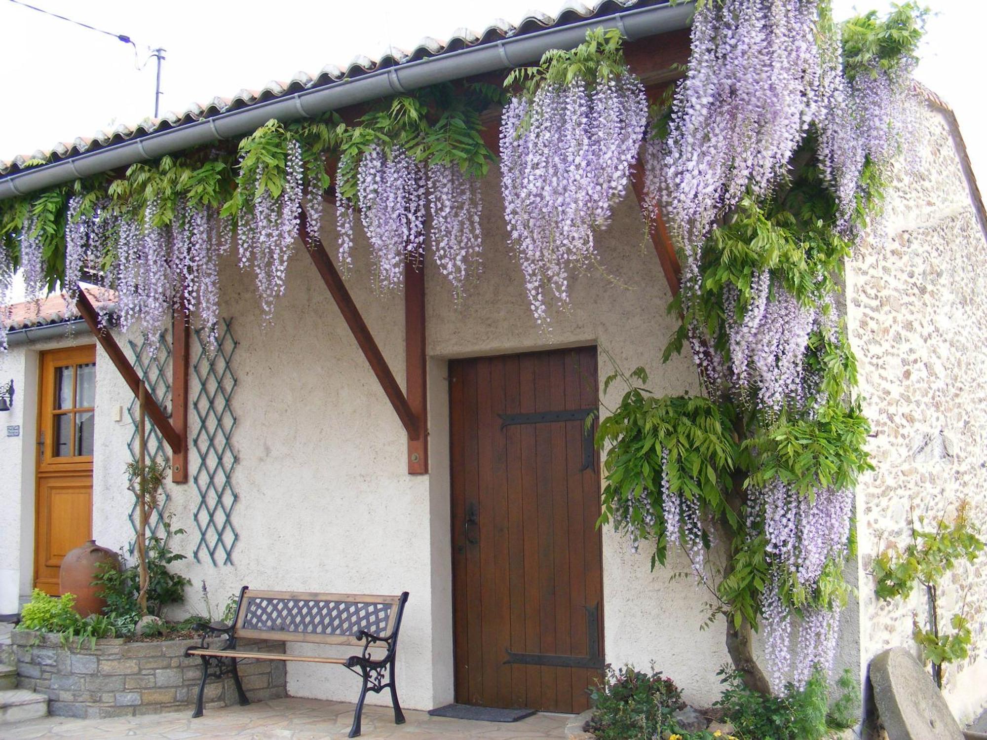 Chambres D'Hotes Vignes Et Loire Drain Exteriör bild