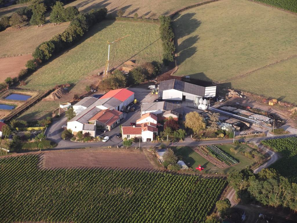 Chambres D'Hotes Vignes Et Loire Drain Exteriör bild