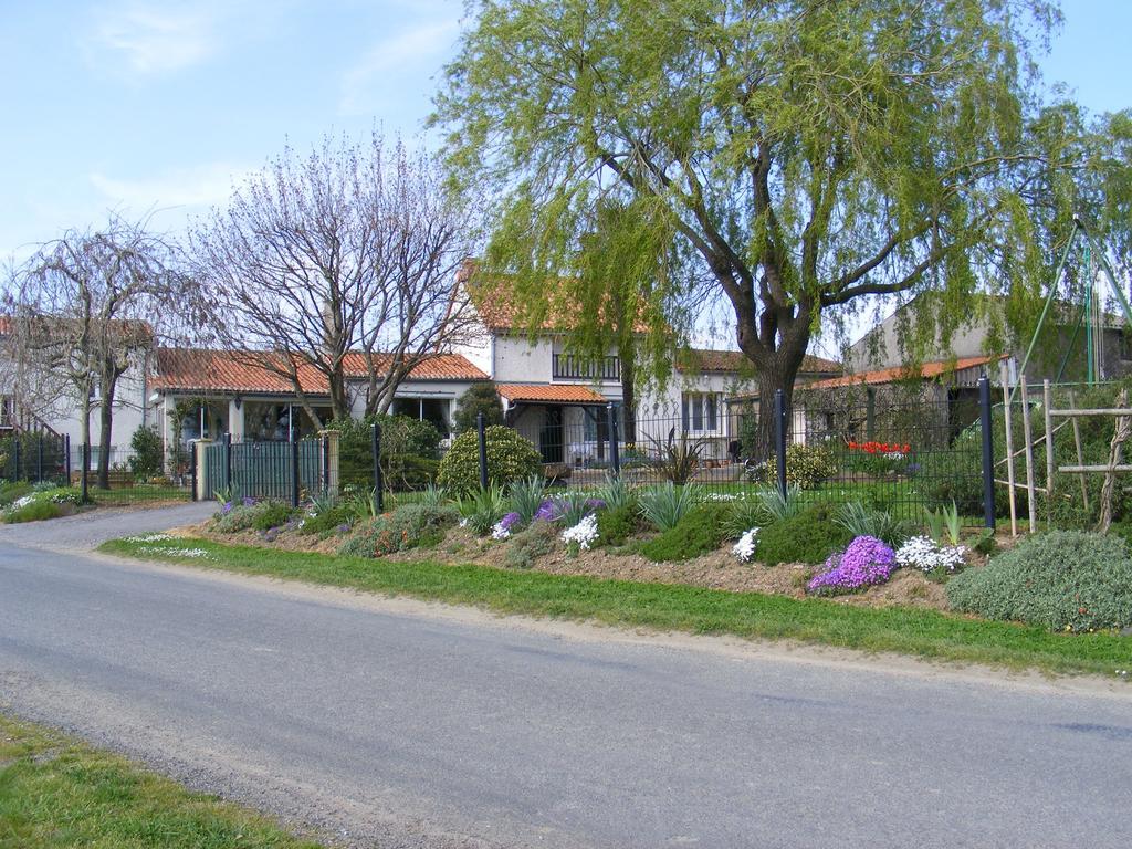 Chambres D'Hotes Vignes Et Loire Drain Exteriör bild